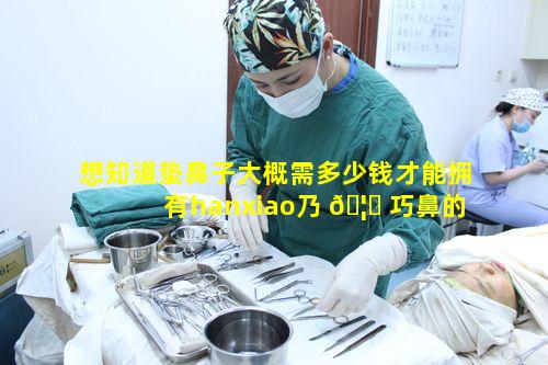 想知道垫鼻子大概需多少钱才能拥有hanxiao乃 🦆 巧鼻的仿生自然美鼻